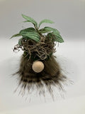 faux succulent gnome