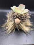 faux succulent gnome